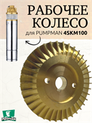 Impeller (Рабочее колесо) 4SKM100 2411
